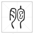 说文解字篆书胞字