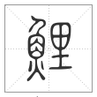 说文解字篆书鲤字
