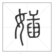 说文解字篆书㛼字