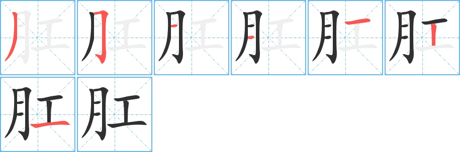 肛字的笔顺图片