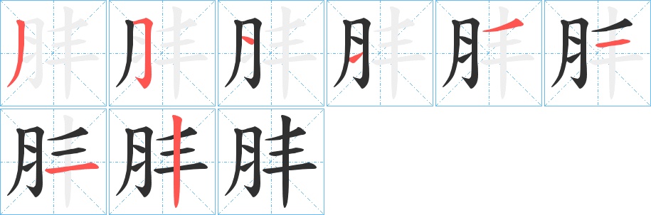 肨字的笔顺，共8画