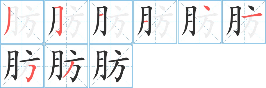 肪字的笔顺，共8画