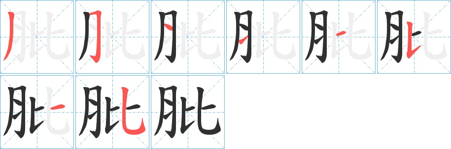 肶字的笔顺，共8画
