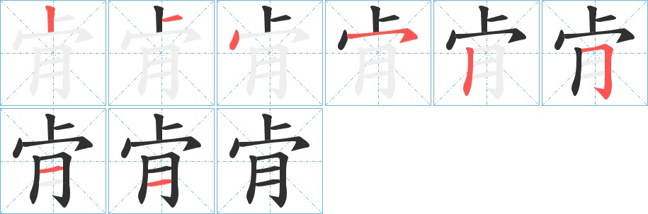 肻字的笔顺，共8画