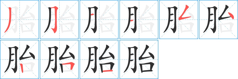 胎字的笔顺图片