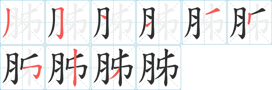 胏字的笔顺，共8画