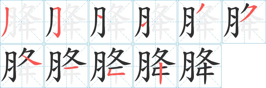 胮字的笔顺图片