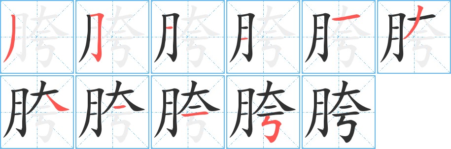 胯字的笔顺，共10画