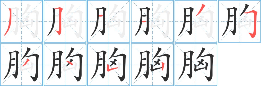 胸字的笔顺图片