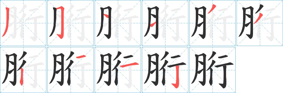 胻字的笔顺图片