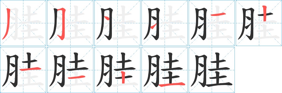 胿字的笔顺，共10画