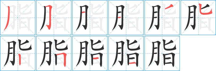 脂字的笔顺，共10画
