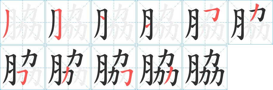 脇字的笔顺图片