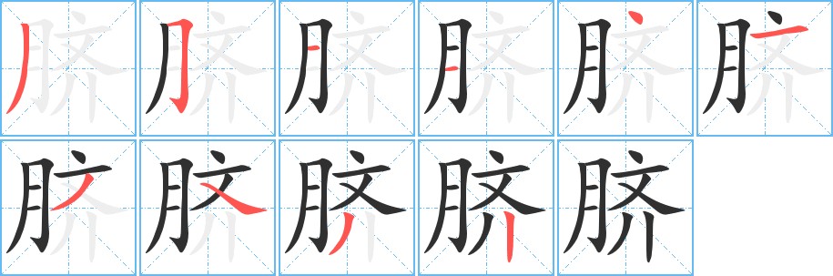脐字的笔顺图片