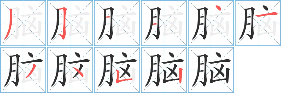 脑字的笔顺，共10画