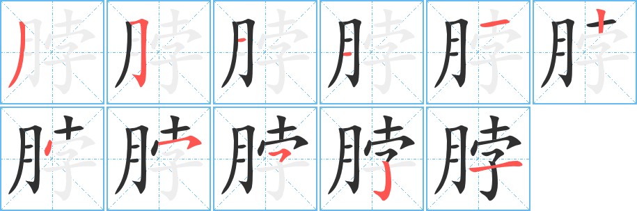 脖字的笔顺，共11画