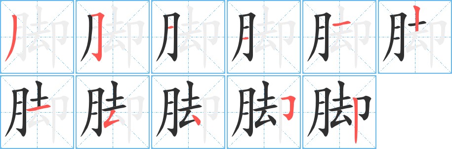 脚字的笔顺，共11画