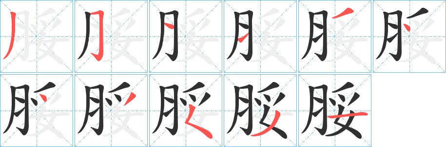 脮字的笔顺，共11画