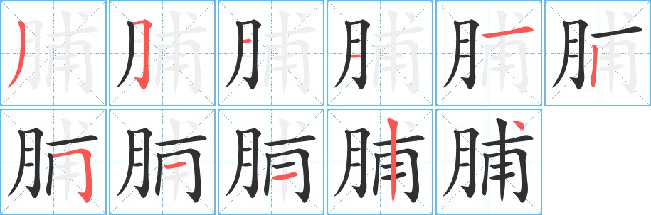 脯字的笔顺，共11画
