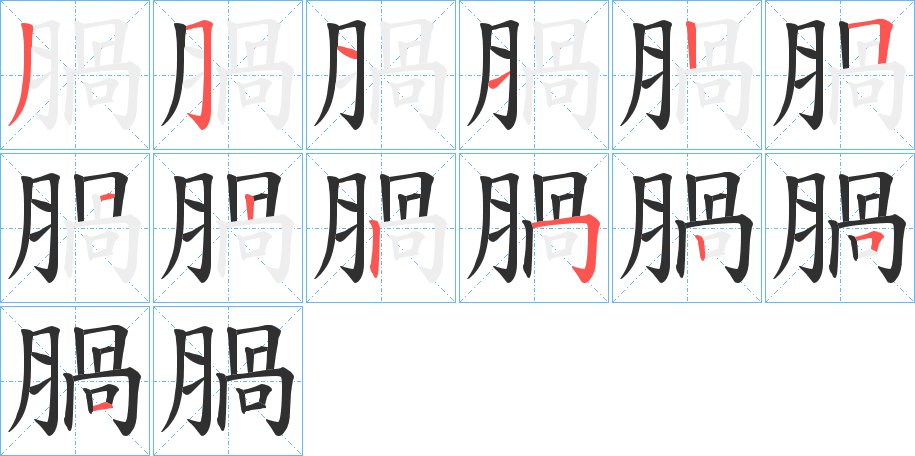 腡字的笔顺图片