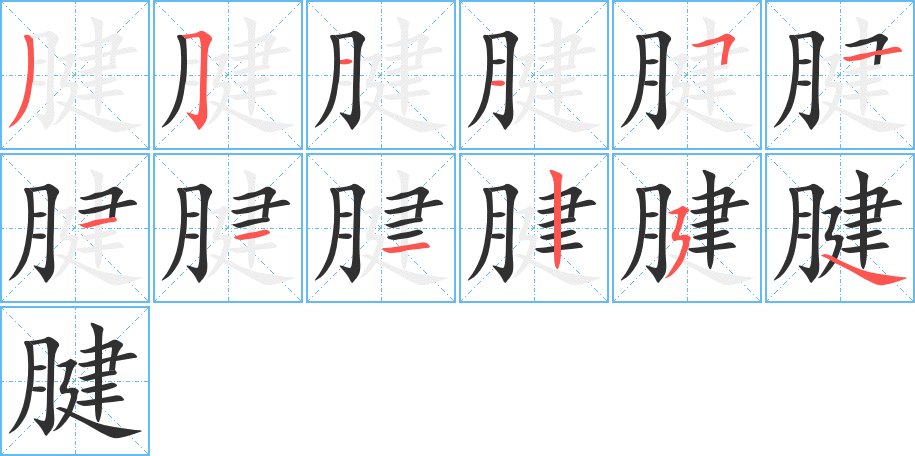 腱字的笔顺，共12画
