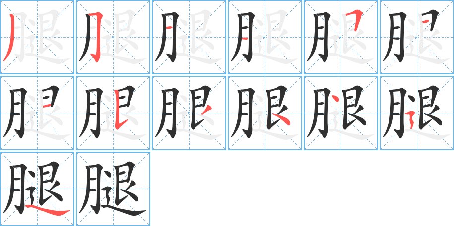 腿字的笔顺，共13画