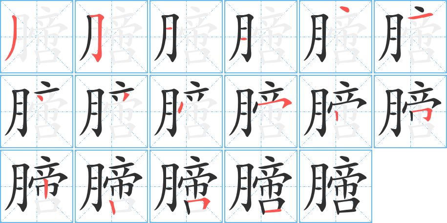 膪字的笔顺图片