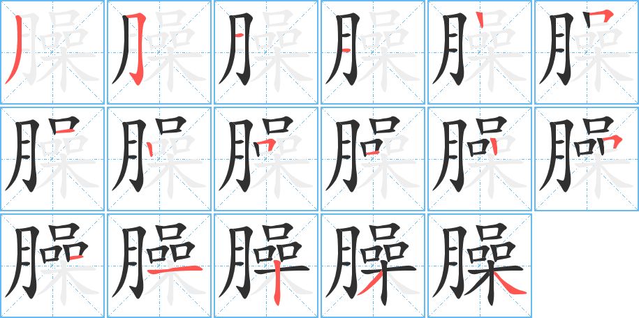 臊字的笔顺，共17画