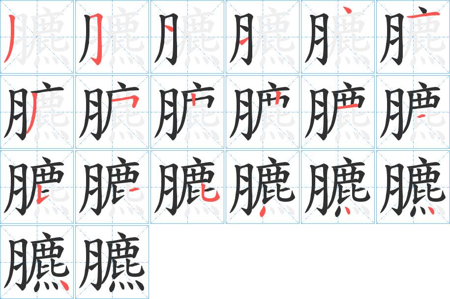 臕字的笔顺图片