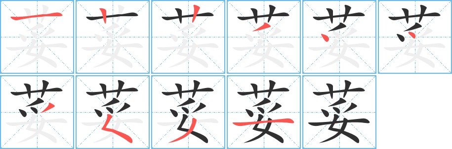 荽字的笔顺，共10画
