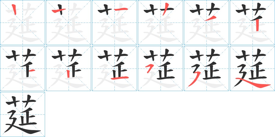 莚字的笔顺图片