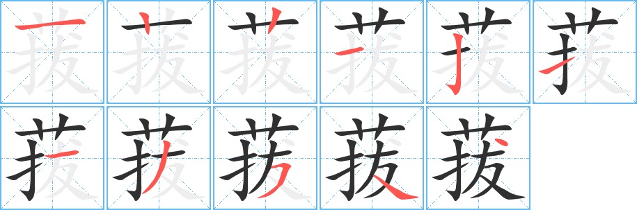 菝字的笔顺，共11画