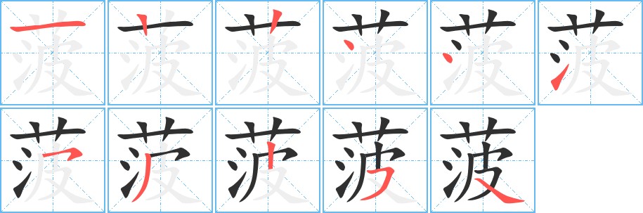 菠字的笔顺图片
