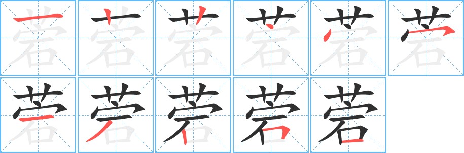 菪字的笔顺图片