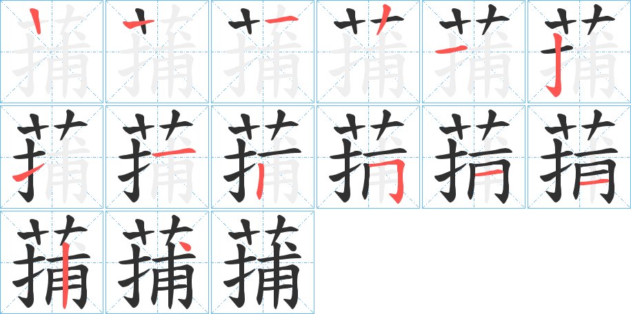 蒱字的笔顺图片