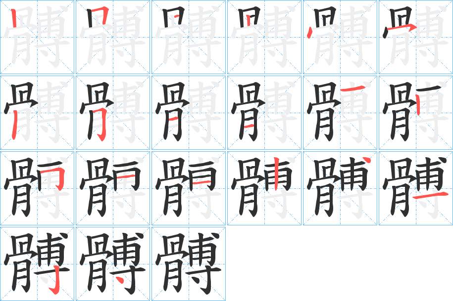 髆字的笔顺，共19画