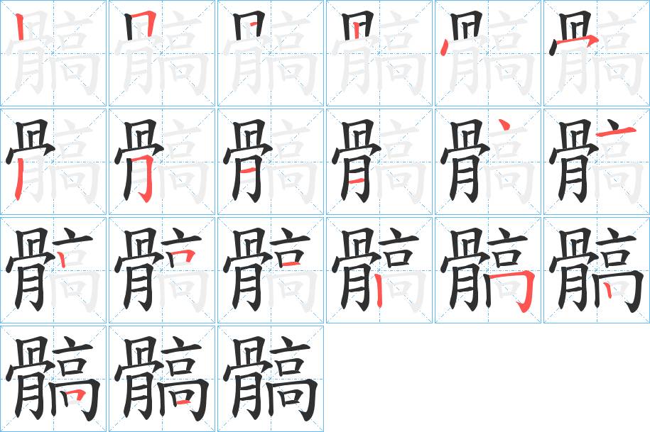 髇字的笔顺，共19画