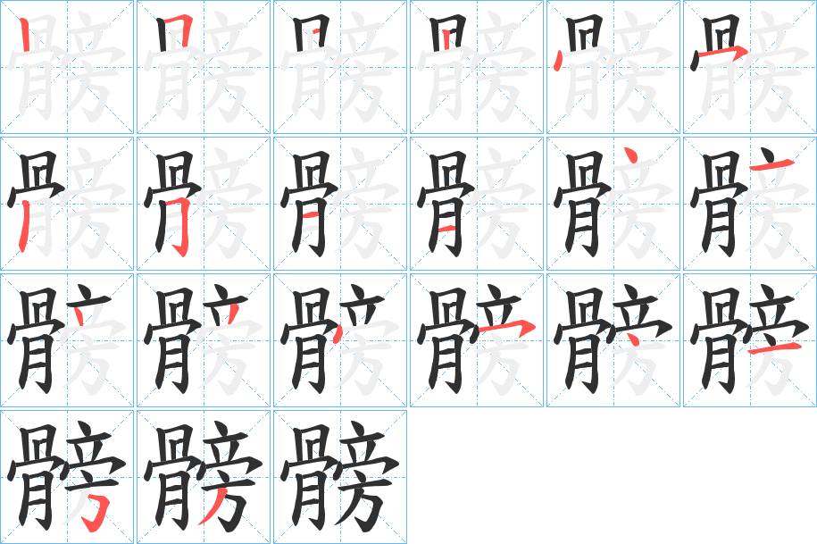 髈字的笔顺，共19画