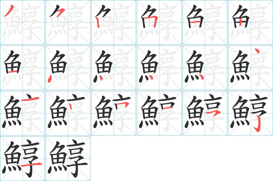 鯙字的笔顺，共19画