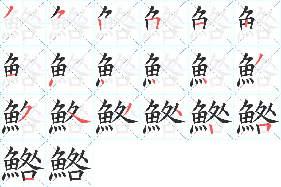 鯦字的笔顺，共19画