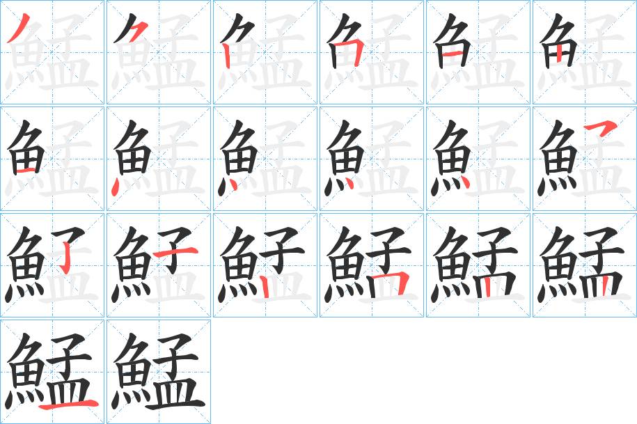 鯭字的笔顺图片