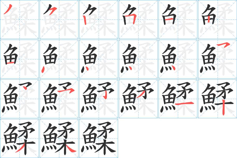 鰇字的笔顺，共20画