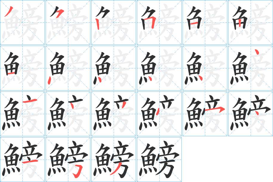 鰟字的笔顺，共21画