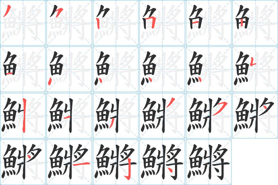 鱂字的笔顺，共22画