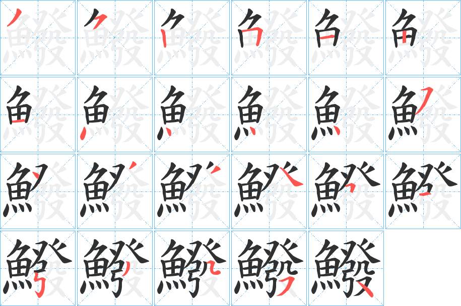 鱍字的笔顺图片