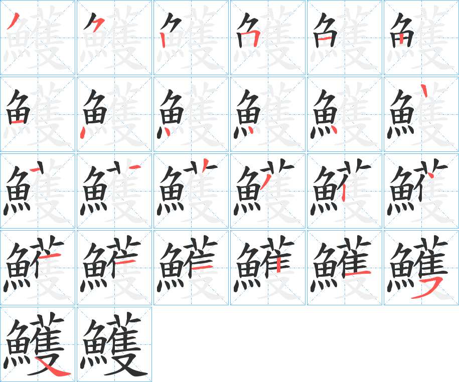 鱯字的笔顺，共24画