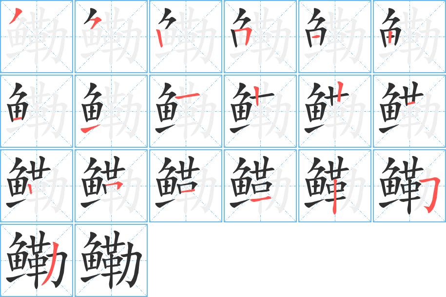 鳓字的笔顺，共19画