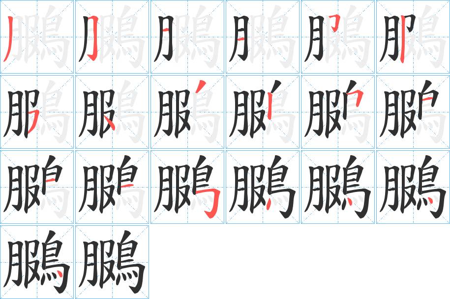 鵩字的笔顺，共19画