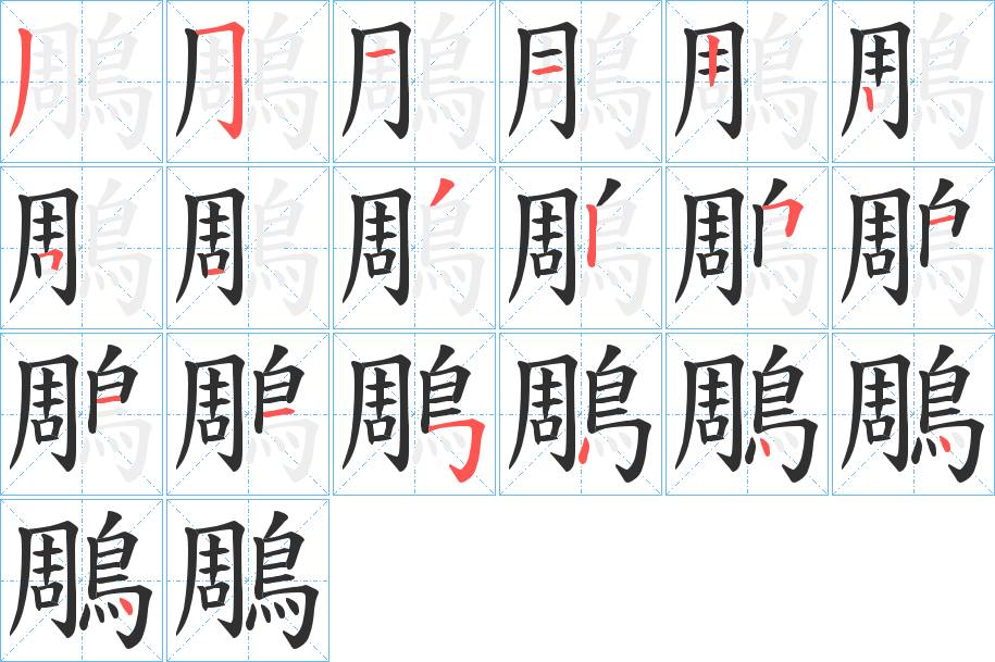 鵰字的笔顺，共19画