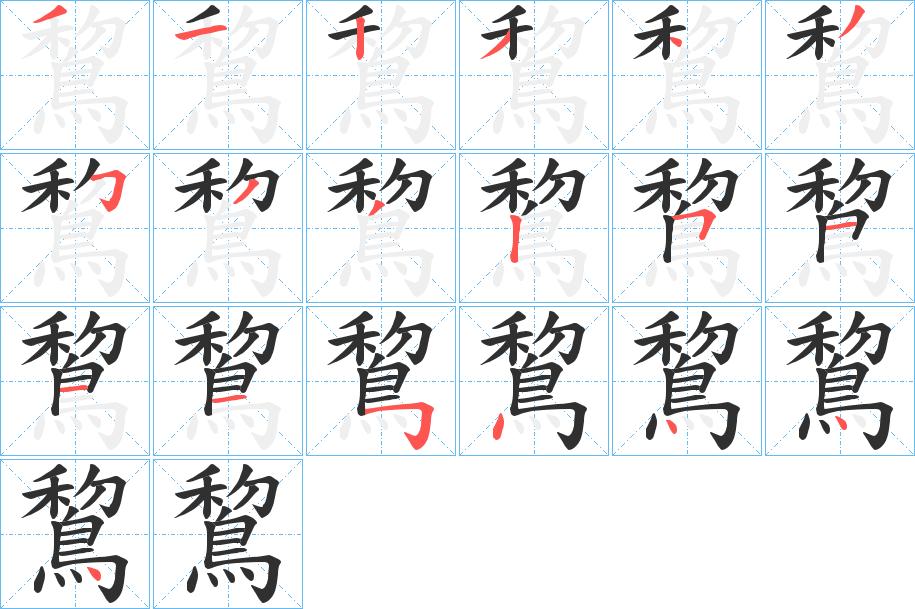 鵹字的笔顺，共19画